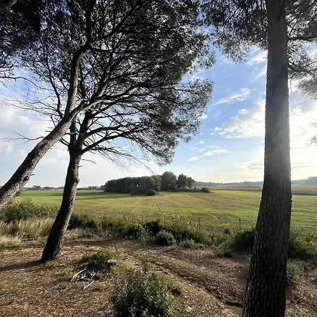 Mas Cantagrilh Villa Montagnac (Herault)