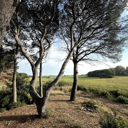 Villa Mas Cantagrilh Montagnac (Herault)