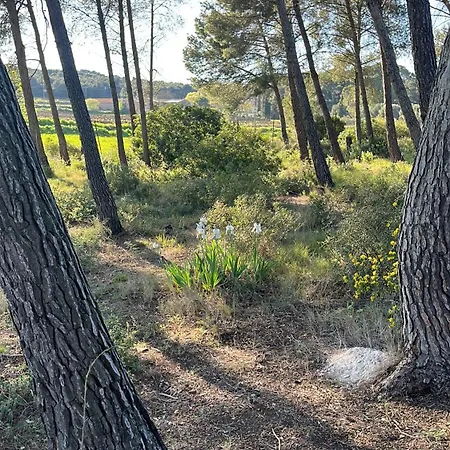 Mas Cantagrilh Montagnac (Herault)