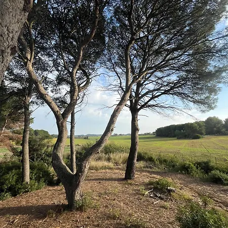 Mas Cantagrilh * Montagnac (Herault)