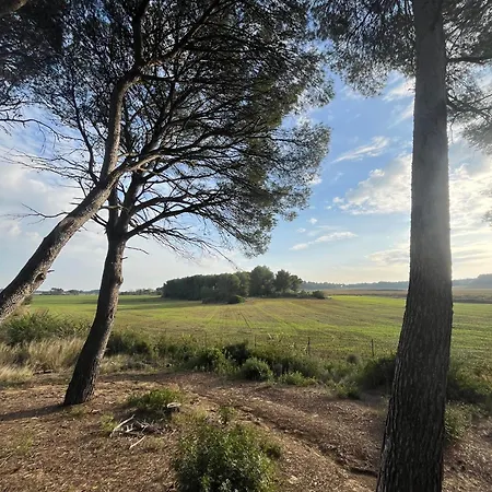 Mas Cantagrilh * Montagnac (Herault)