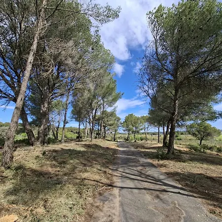 Mas Cantagrilh Villa