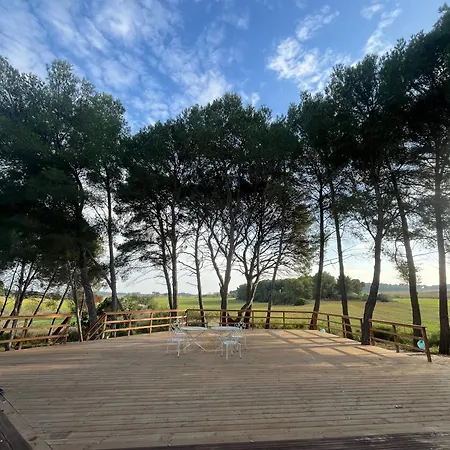 Mas Cantagrilh Montagnac (Herault)